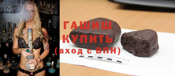 дмт Каменка