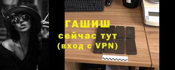 дмт Каменка