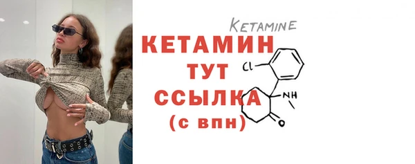 дмт Каменка