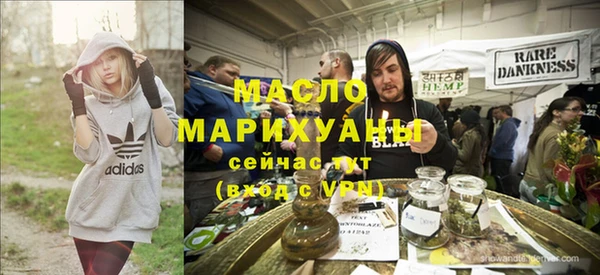 дмт Каменка