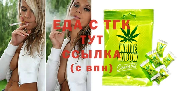 дмт Каменка