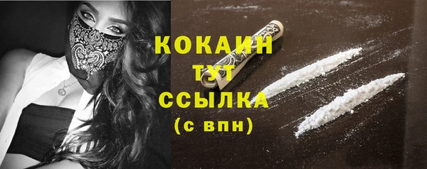 стаф Касимов