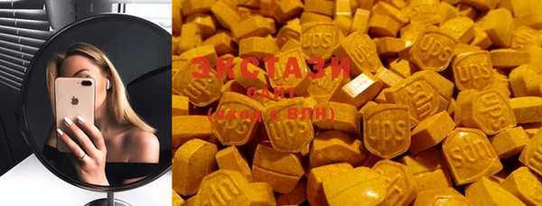 дмт Каменка