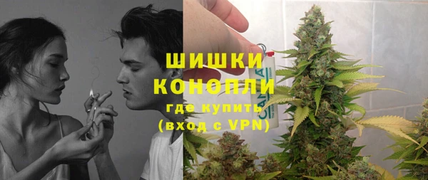 дмт Каменка